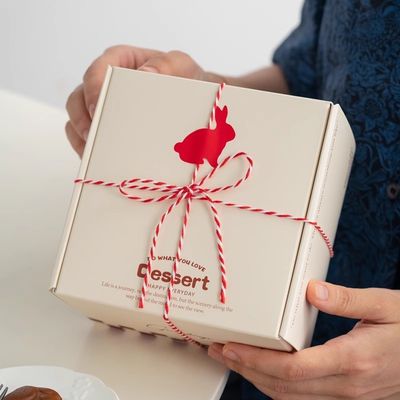 Faites-le vous-même 2 fils de cordon tordu 550 livres 2 mm de cordon de coton macramé