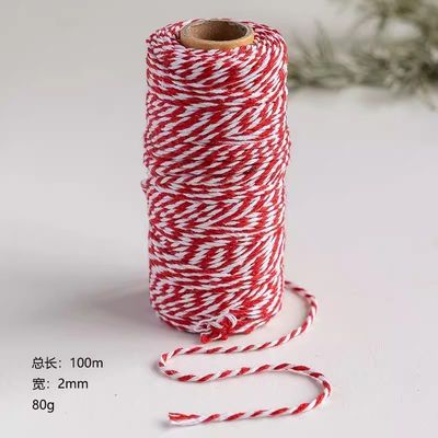 Faites-le vous-même 2 fils de cordon tordu 550 livres 2 mm de cordon de coton macramé