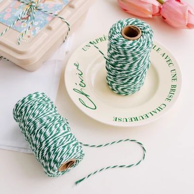 Faites-le vous-même 2 fils de cordon tordu 550 livres 2 mm de cordon de coton macramé