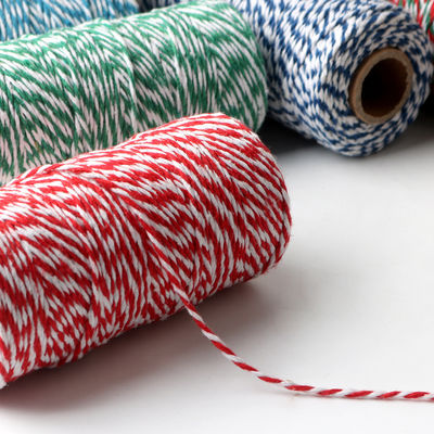 Faites-le vous-même 2 fils de cordon tordu 550 livres 2 mm de cordon de coton macramé