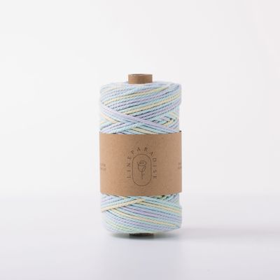 ISO9001 Corde de coton à tresses solides colorée de 3 mm en macrame tordu
