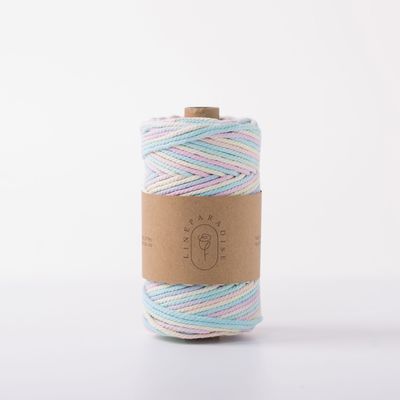 ISO9001 Corde de coton à tresses solides colorée de 3 mm en macrame tordu