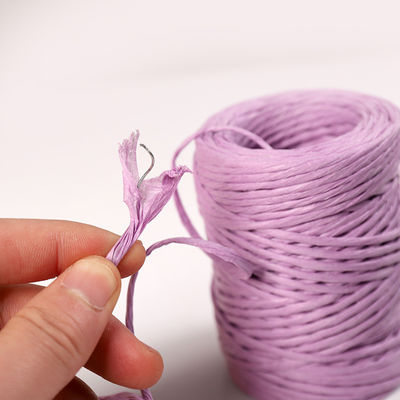 Cordon de papier en fer de 2 mm écologique DIY câble de papier tordu biodégradable