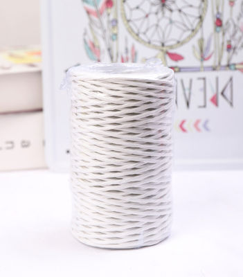 Cordon de papier en fer de 2 mm écologique DIY câble de papier tordu biodégradable