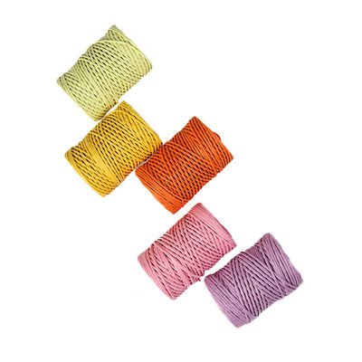 Cordon de papier en fer de 2 mm écologique DIY câble de papier tordu biodégradable