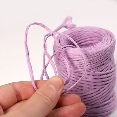 Cordon de papier en fer de 2 mm écologique DIY câble de papier tordu biodégradable
