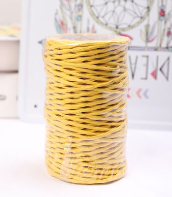 Cordon de papier en fer de 2 mm écologique DIY câble de papier tordu biodégradable